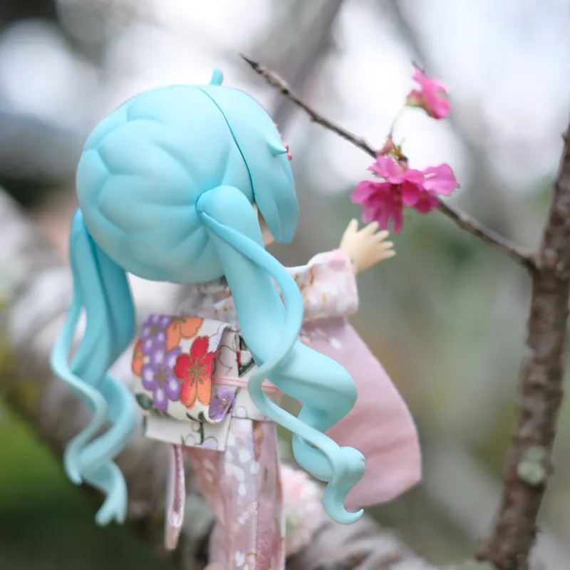 Furisode (振袖和服)