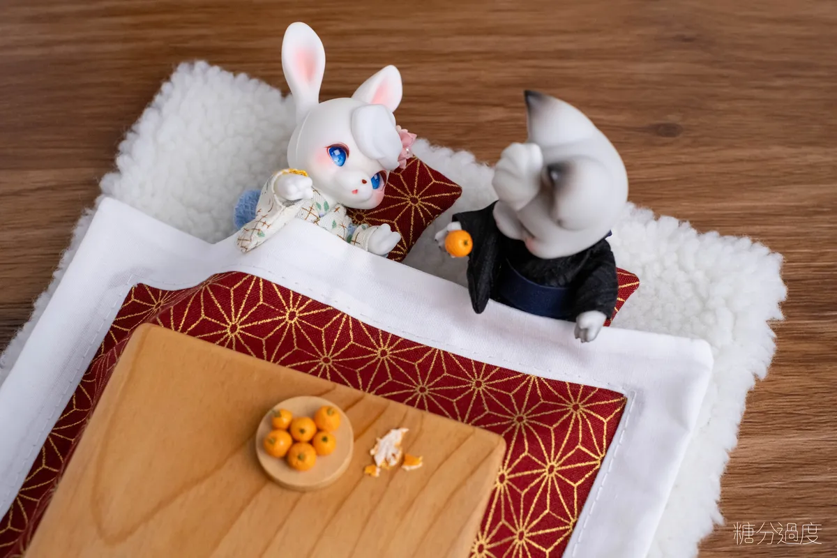 Kotatsu Cover 1